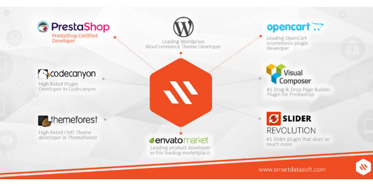 A certified web agency SmartDataSoft